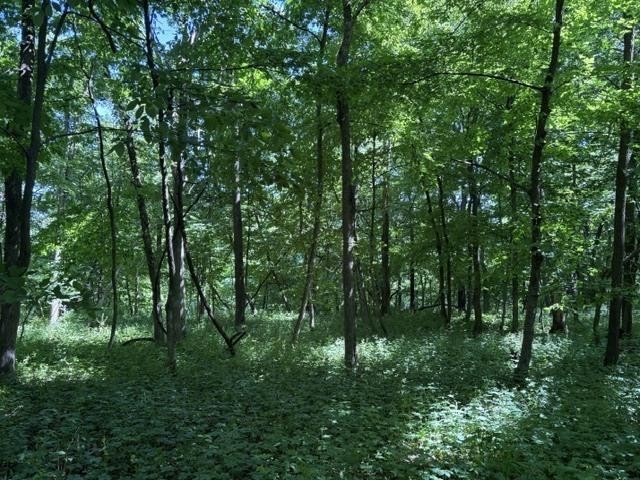 15 Navajo Ct., Putnam, IL 61560