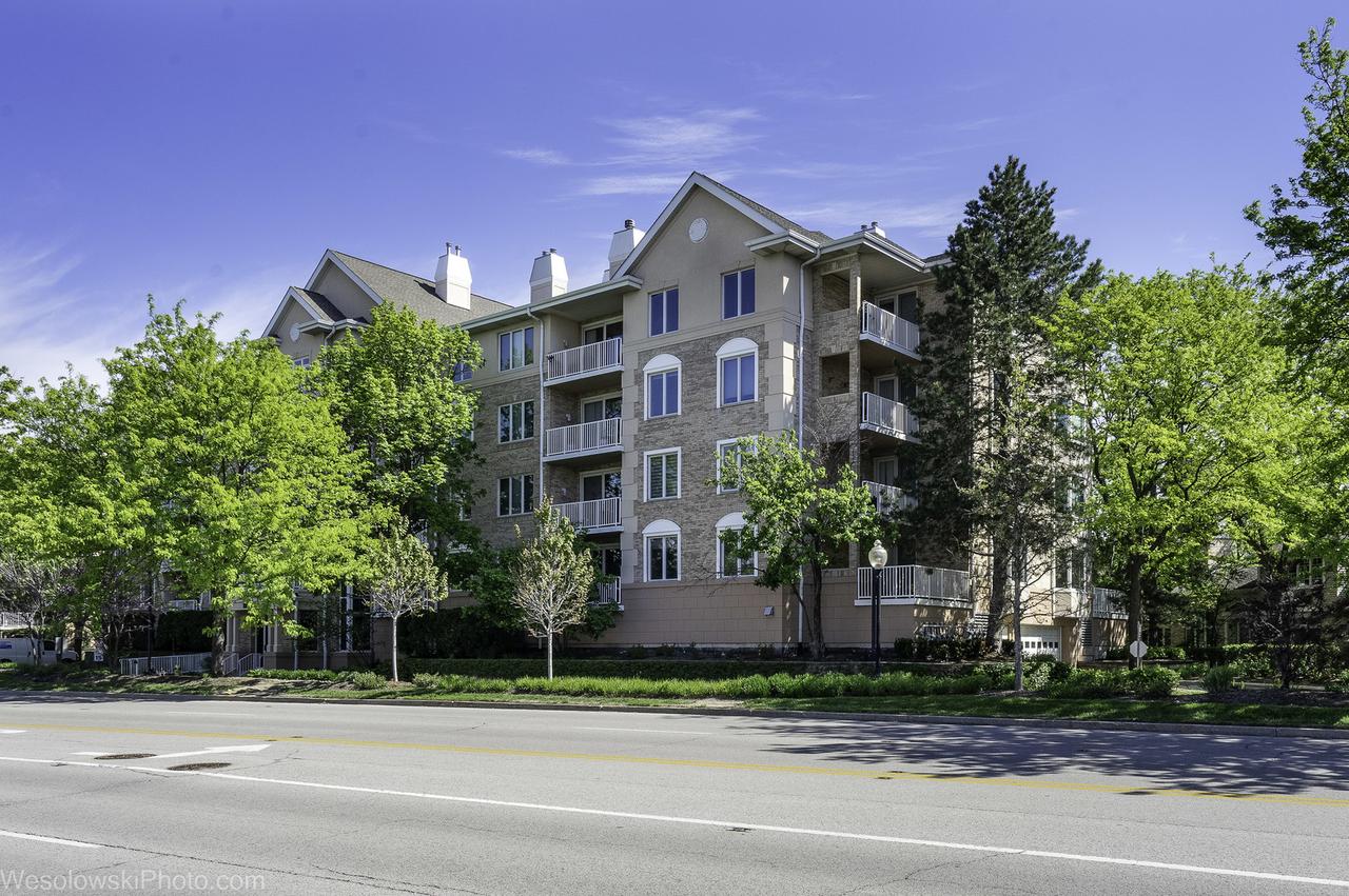 1705 Pavilion Way #208, Park Ridge, IL 60068