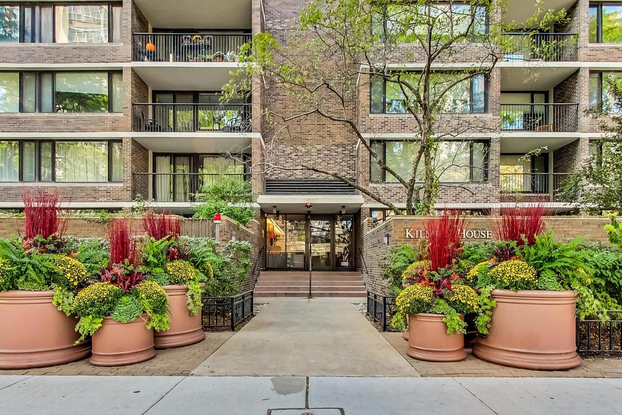 1555 N Sandburg Ter. #206K, Chicago, IL 60610