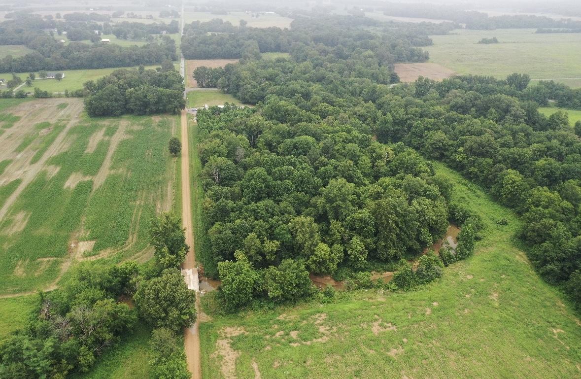 TBD S Us 45 Rd., Brookport, IL 62910