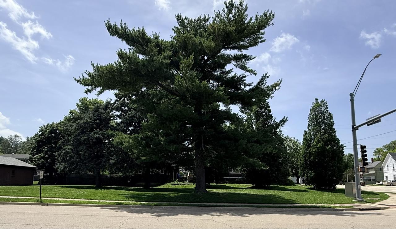 E Hitt St., Mount Morris, IL 61054