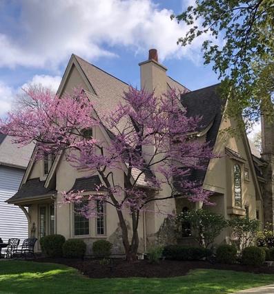 New Homes For Sale This Week That Attend Ellsworth Elementary School: July 31st to August 6th