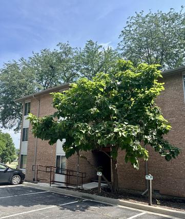 New Homes with Master Bedrooms on the 1st Floor That Attend Thomas Jefferson Junior High School: June 27th to July 3rd