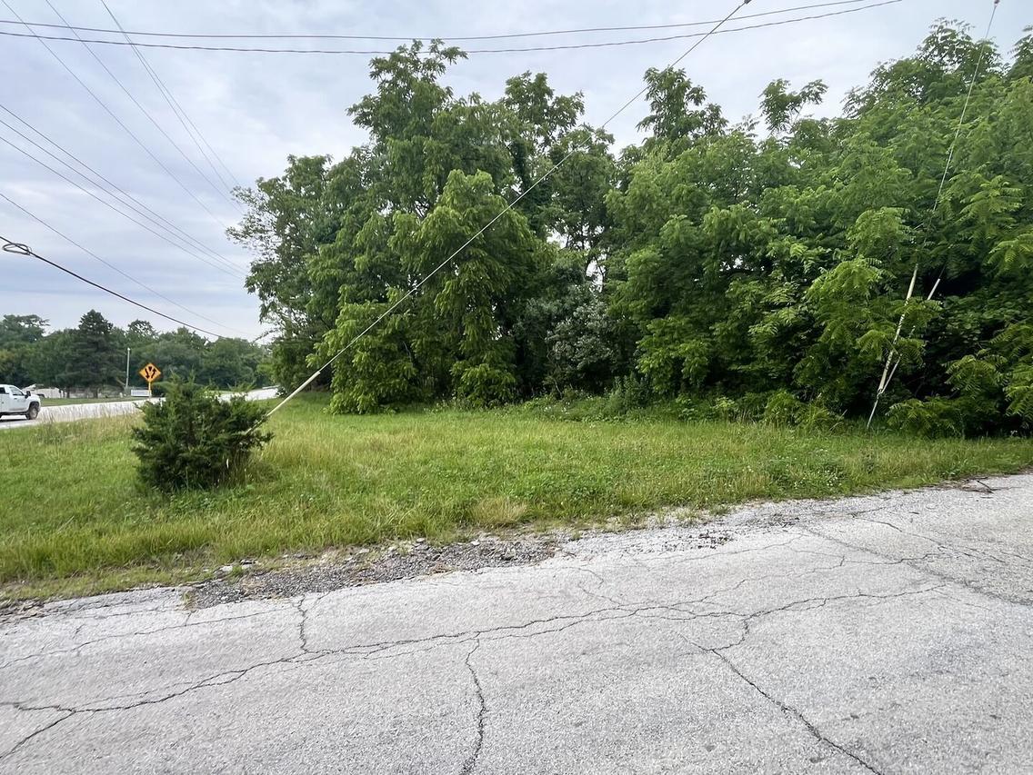 Vacant Western Ave., University Park, IL 60484