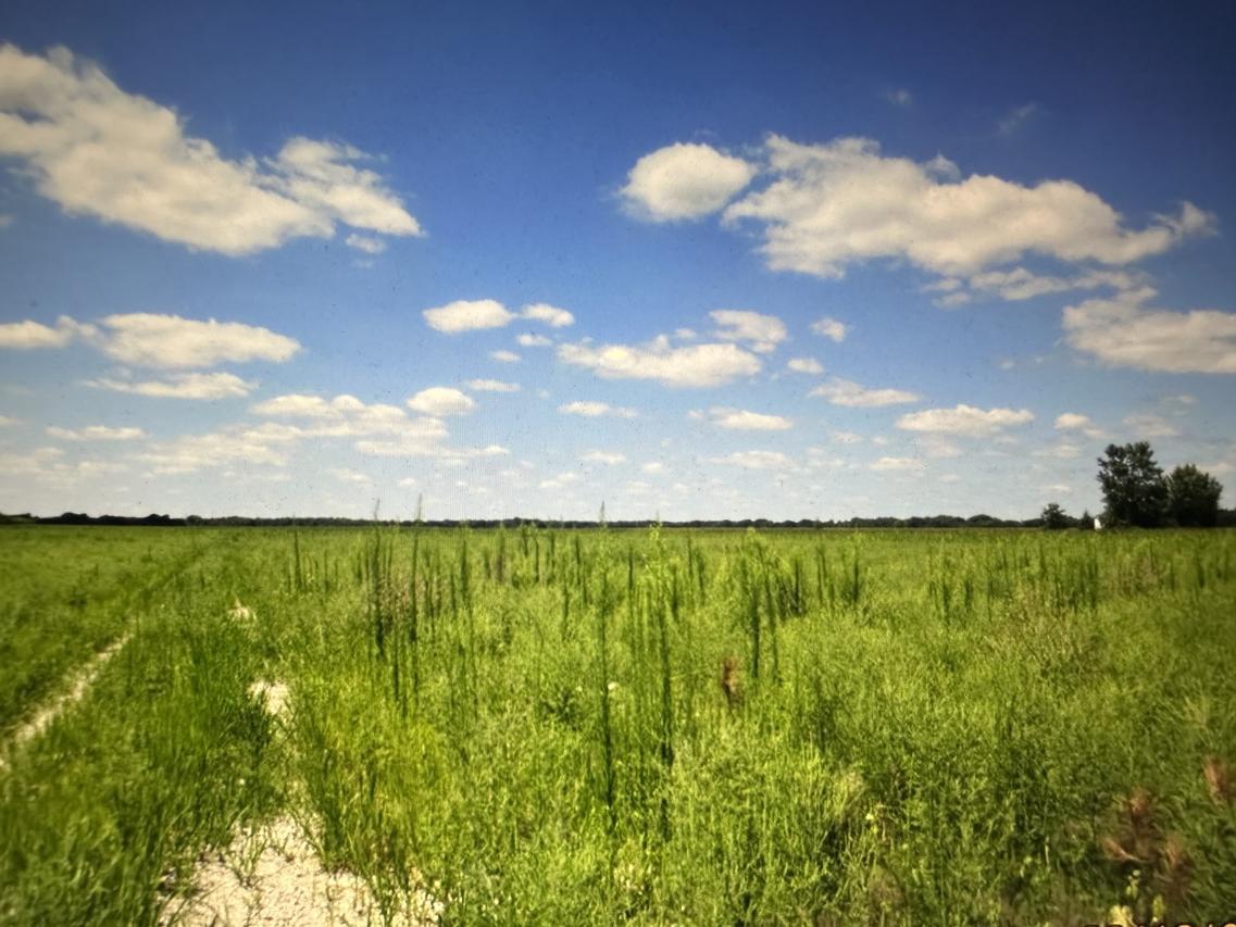 1065 N Gorman Rd., Morris, IL 60450
