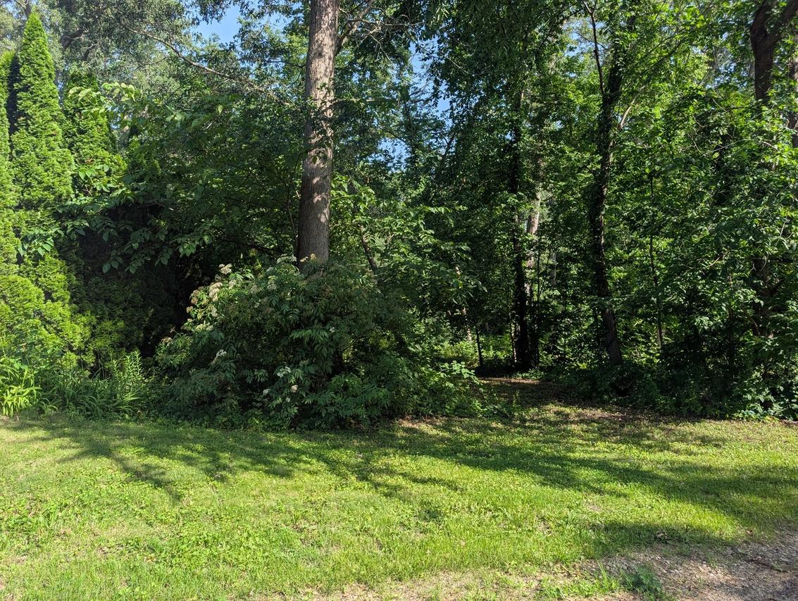 2145 Hawthorne Dr., Davis, IL 61019