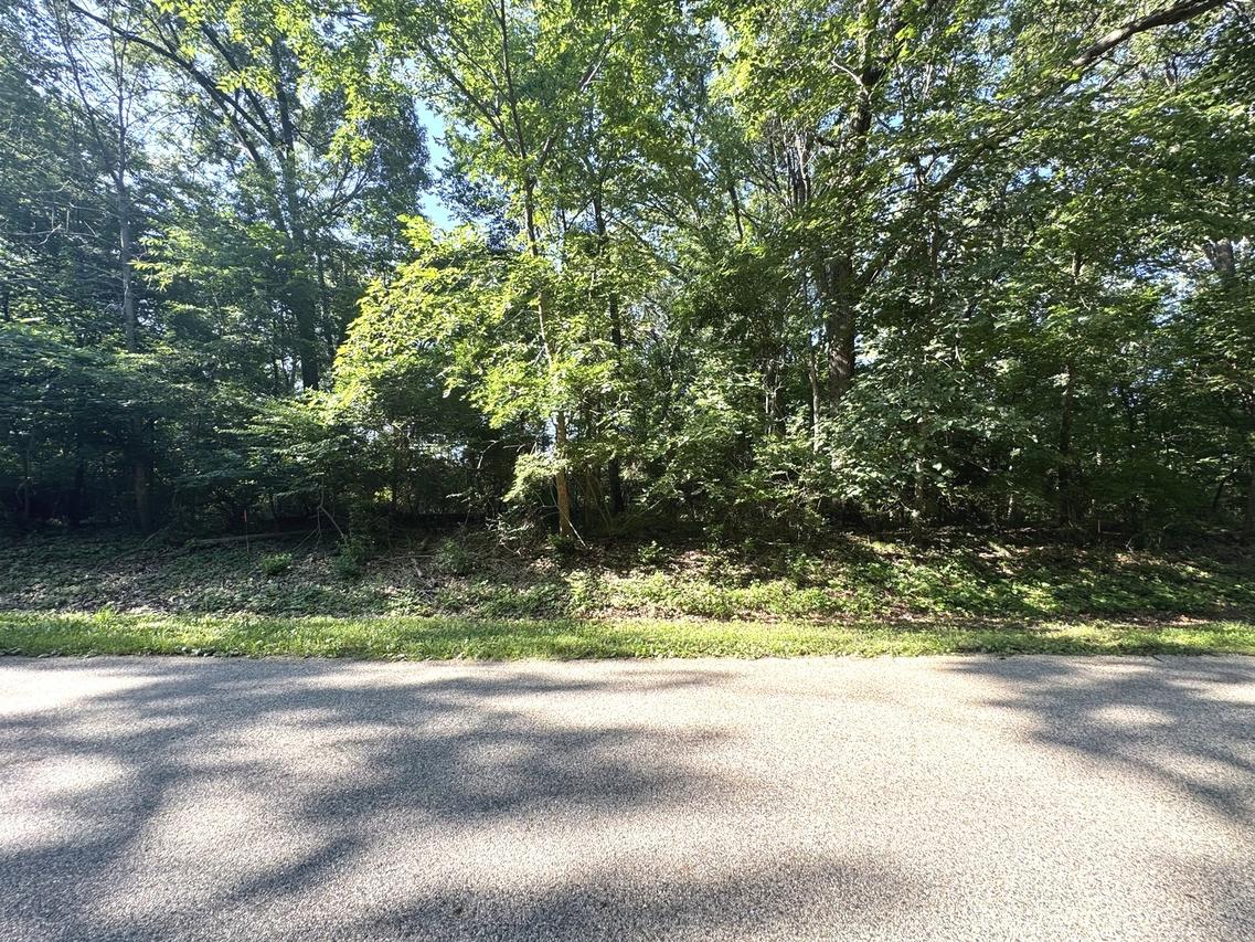 Lot 90 Lake Thunderbird Dr., Tiskilwa, IL 61368