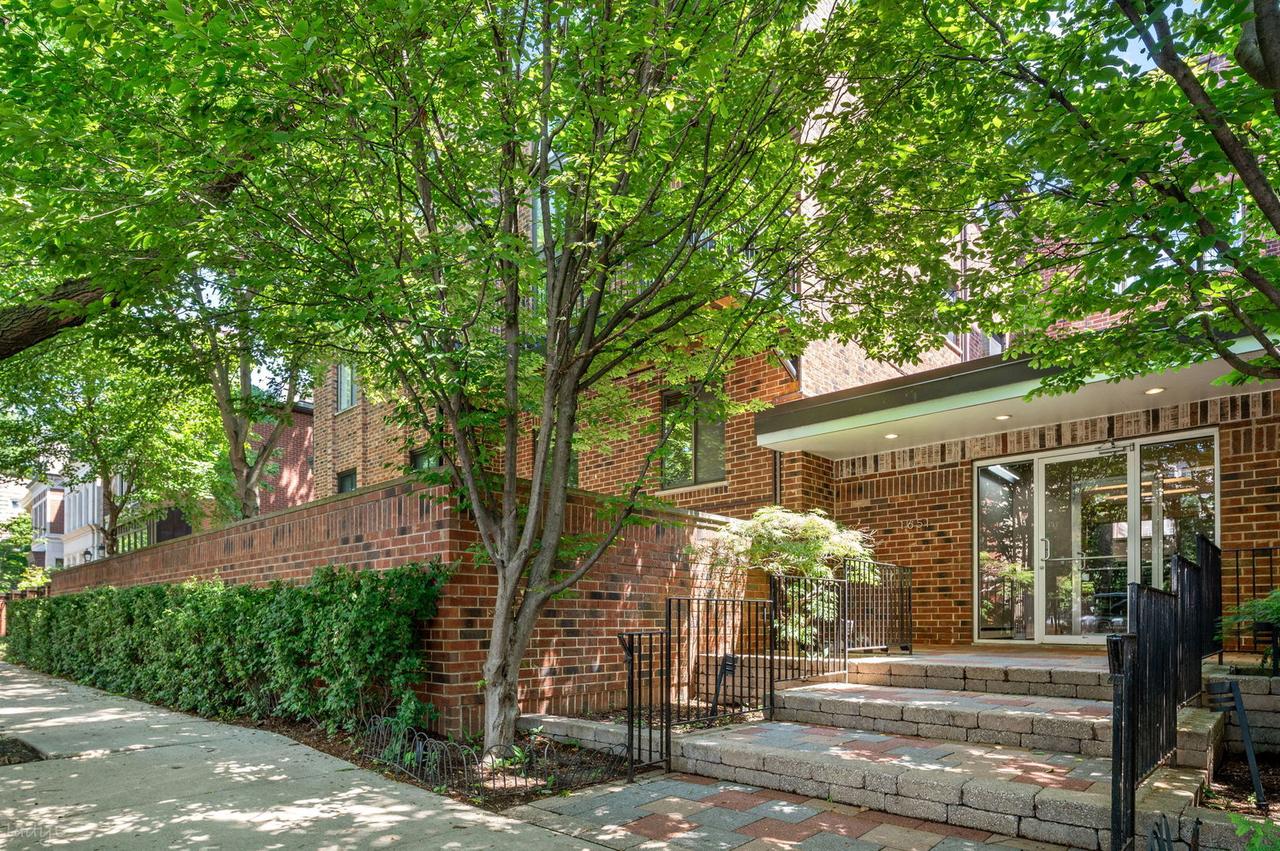 1651 N Dayton St. #304, Chicago, IL 60614