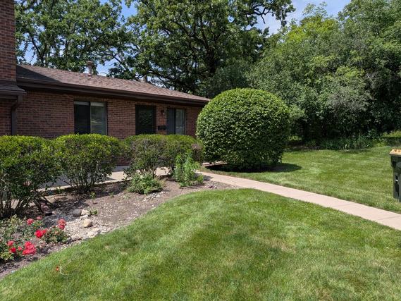New Homes For Sale This Week That Attend Seth Paine Elementary School: July 3rd to July 9th