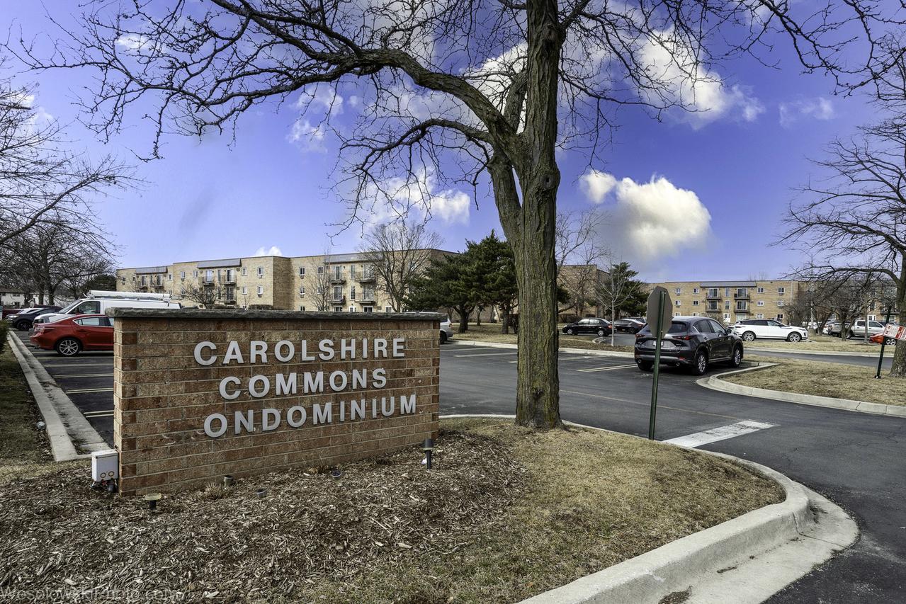 147 W Elk Tr., Carol Stream, IL 60188