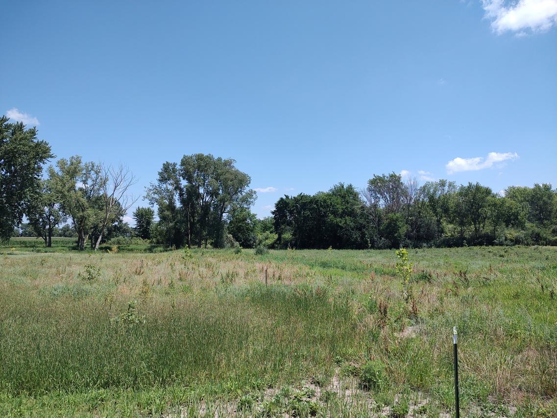 49W100 Rt 64, Maple Park, IL 60151