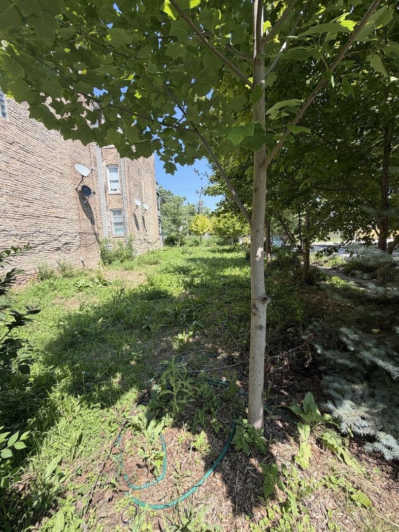 1449 S Spaulding Ave., Chicago, IL 60623