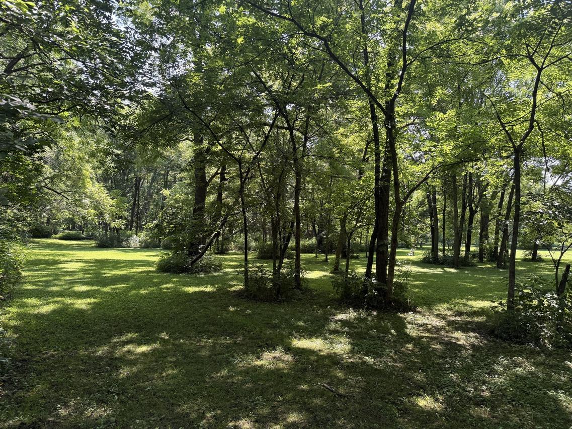2582 Private Access 401, Mahomet, IL 61853