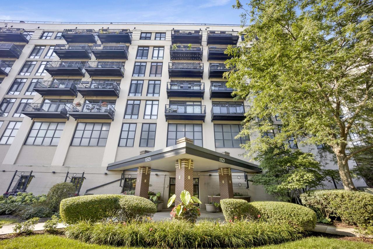 1525 S Sangamon St. #504, Chicago, IL 60608