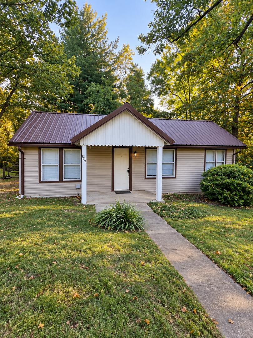 803 N Allyn St., Carbondale, IL 62901