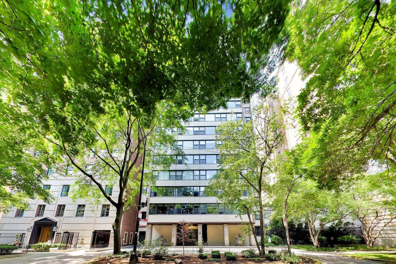 1540 N State Pkwy. #8C, Chicago, IL 60610