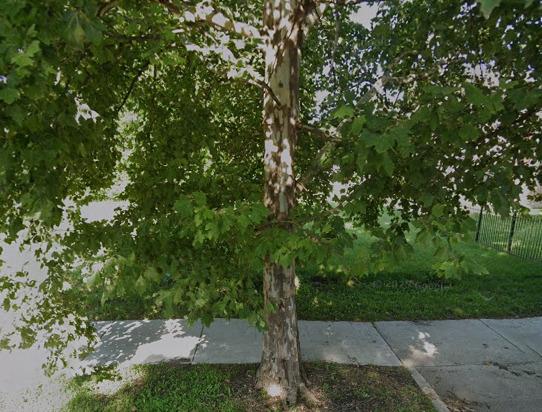 6010 S Union Ave., Chicago, IL 60621