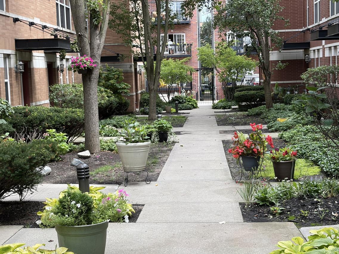 529 Chicago Ave. #F, Evanston, IL 60202
