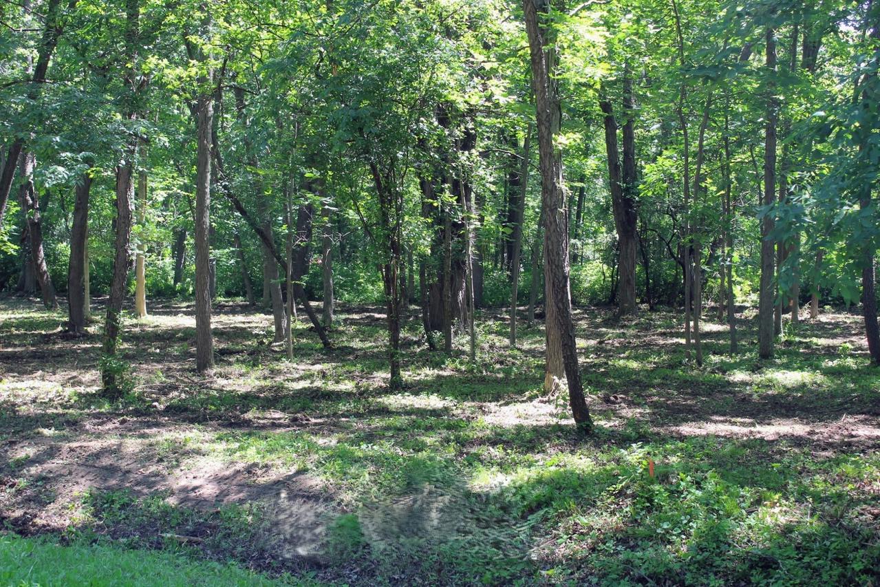 310 Slippery Rock Dr., Dixon, IL 61021