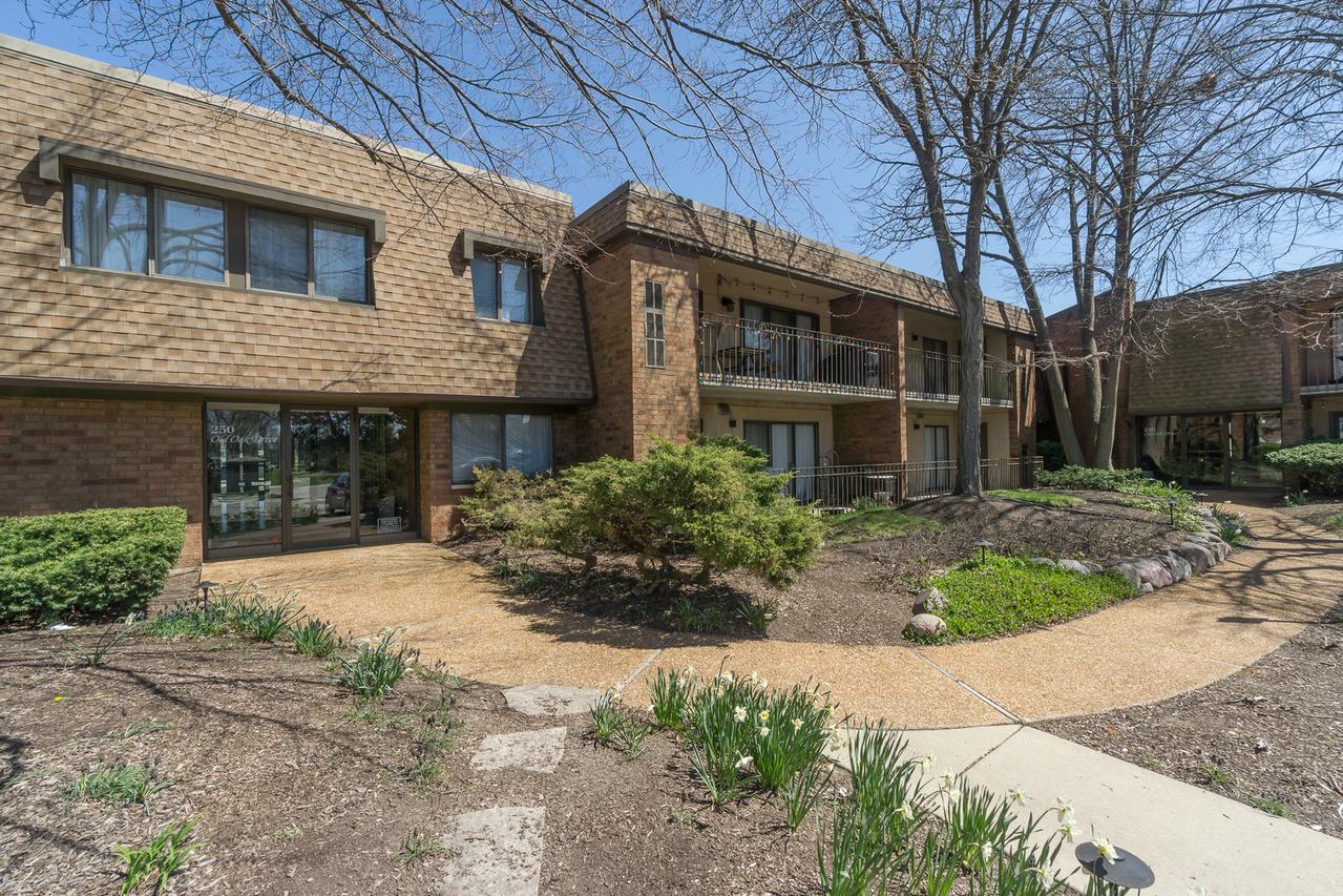 250 Old Oak Dr. #172, Buffalo Grove, IL 60089