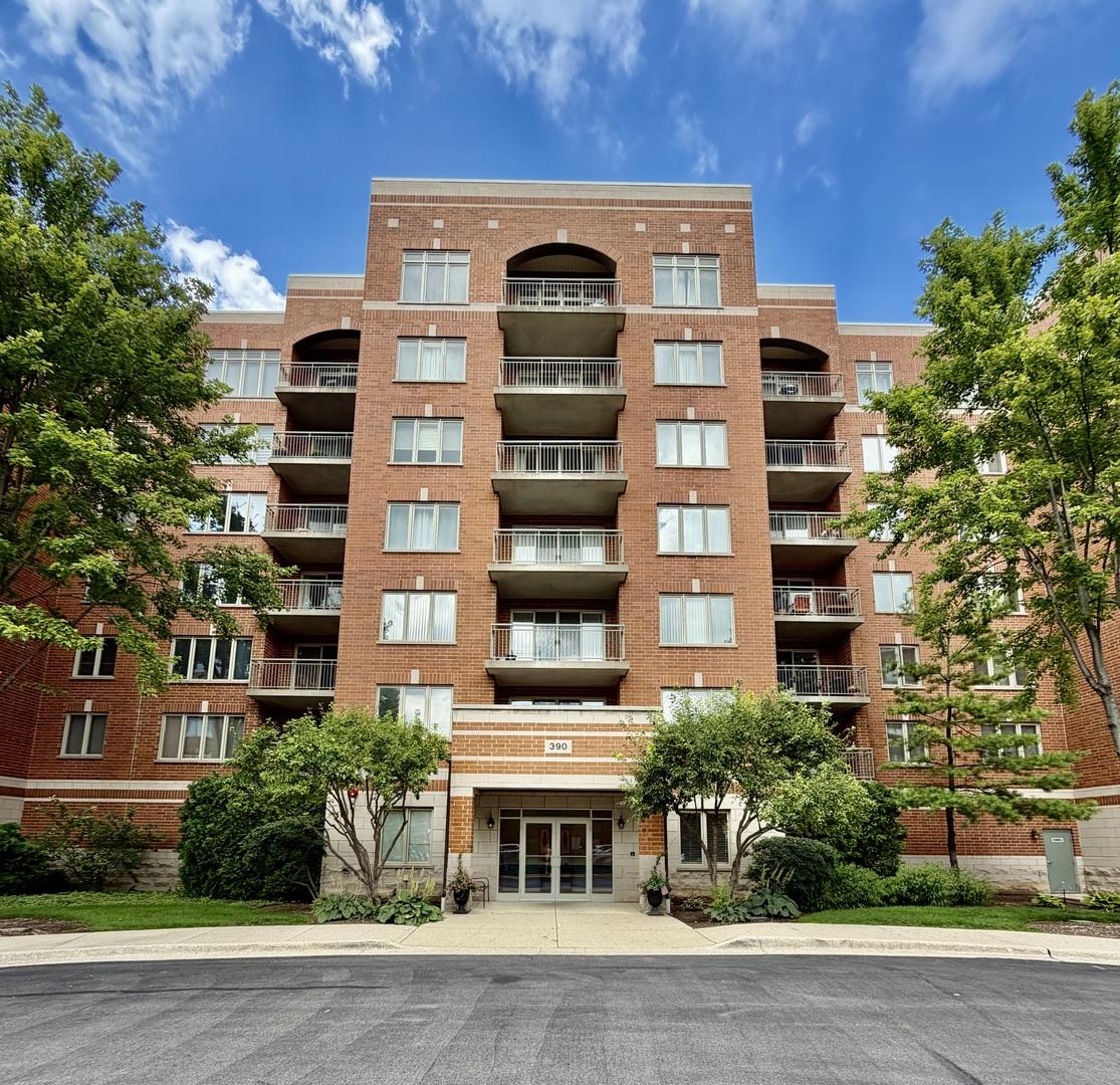 390 S Western Ave. #204, Des Plaines, IL 60016