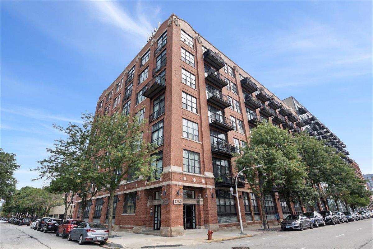 1250 W Van Buren St. #704, Chicago, IL 60607