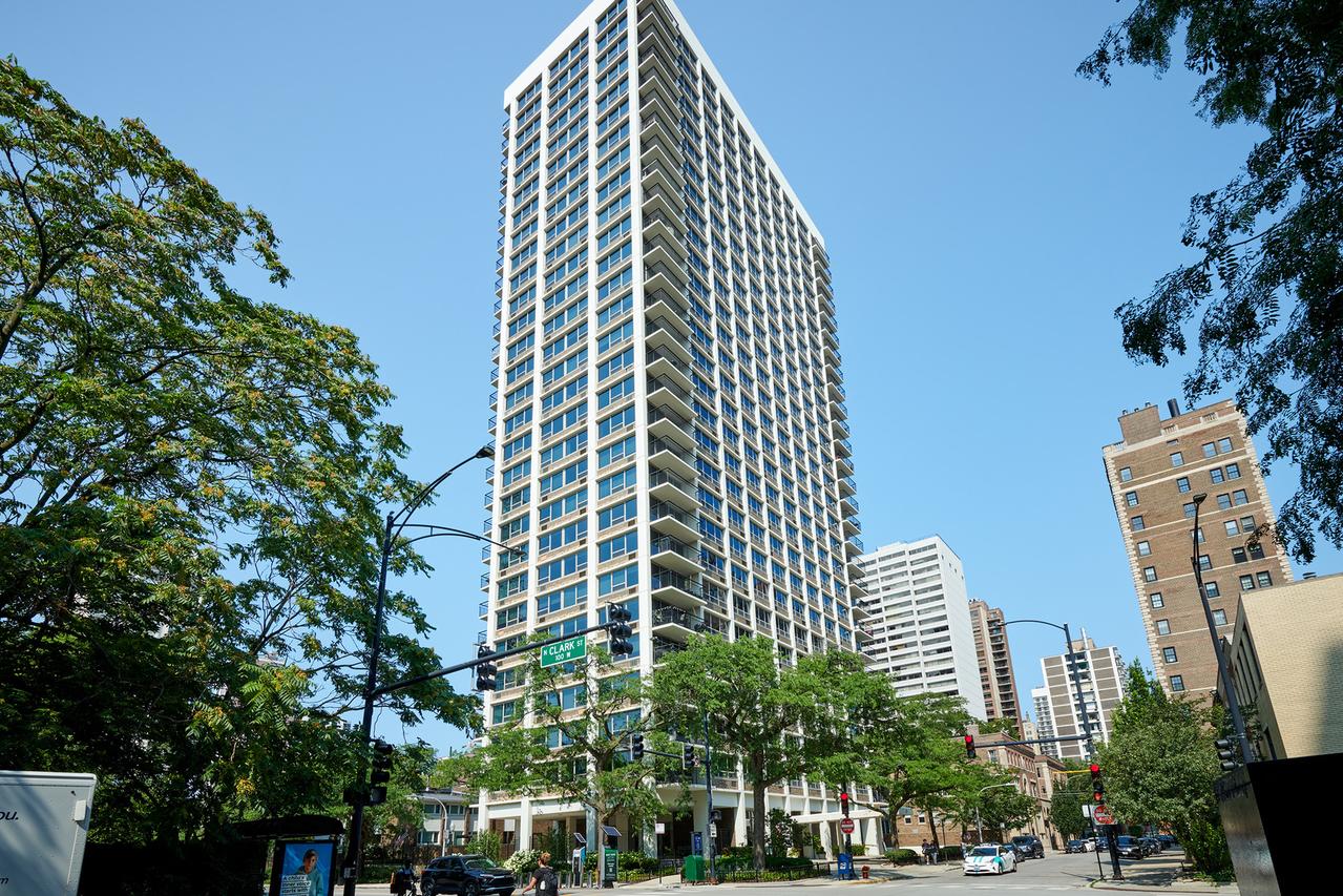 88 W Schiller St. #3007, Chicago, IL 60610
