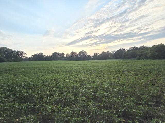 Phillip St., Waltonville, IL 62894