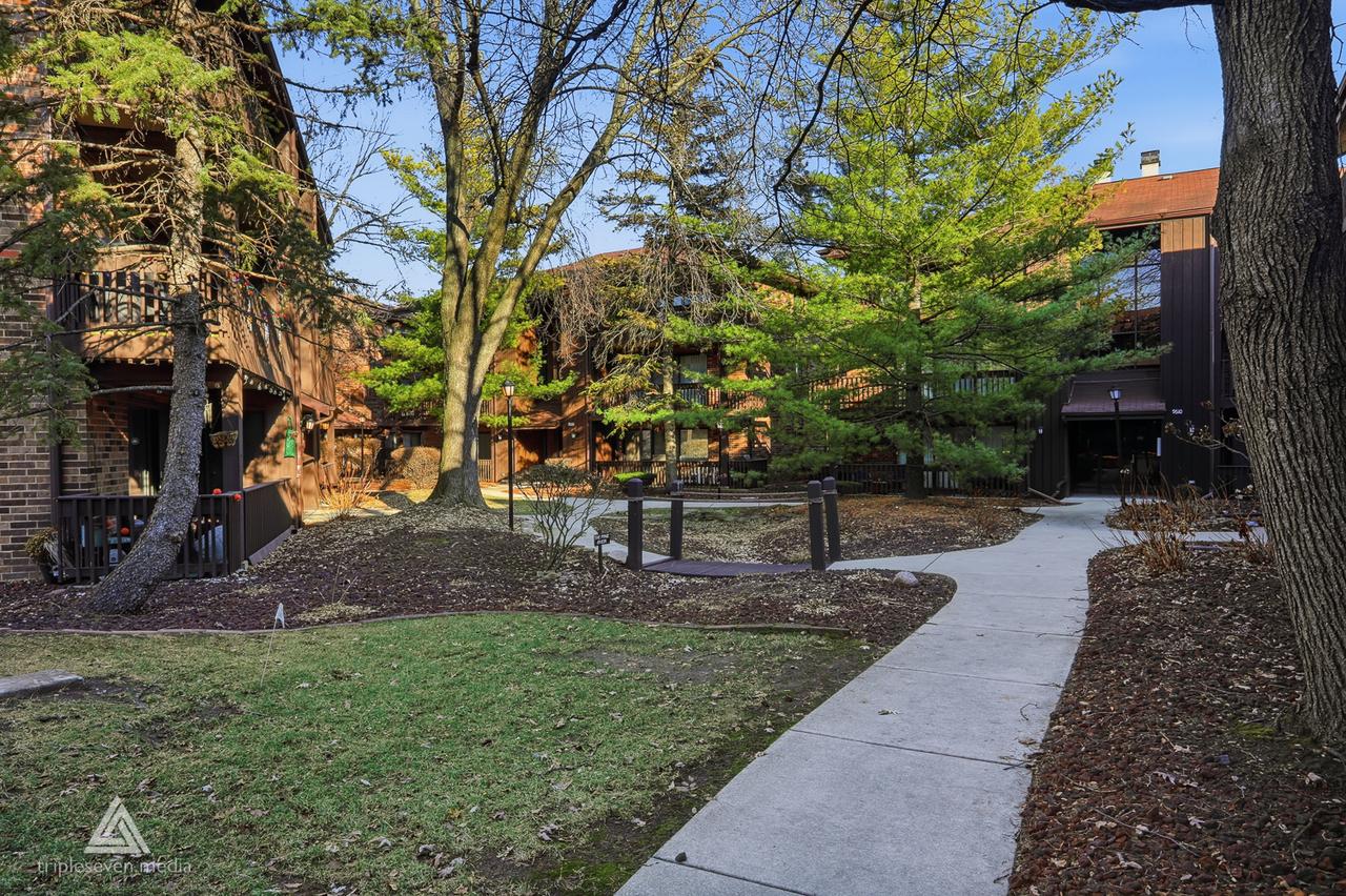 9609 Austin Ave. #W3, Oak Lawn, IL 60453