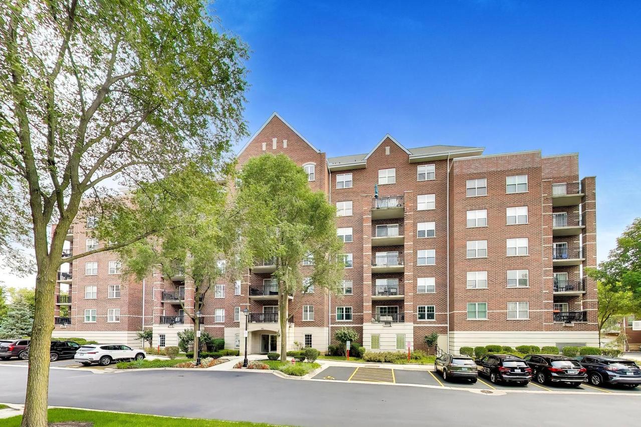 410 W Mahogany Ct. #205, Palatine, IL 60067