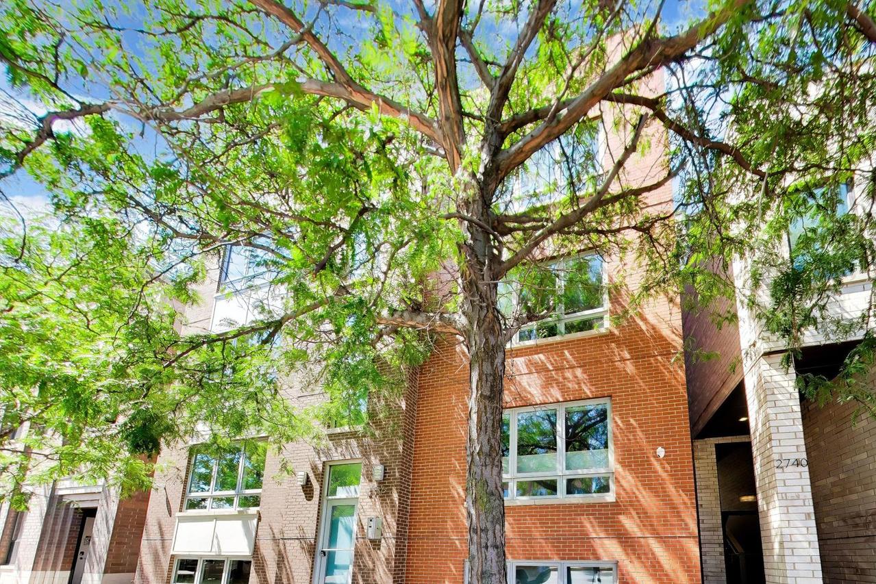 2736 N Ashland Ave. #2S, Chicago, IL 60614