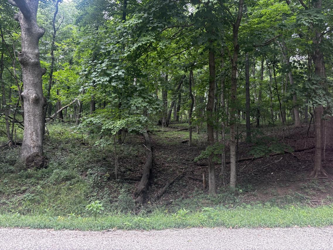 1806 Tanglewood Dr., Varna, IL 61375