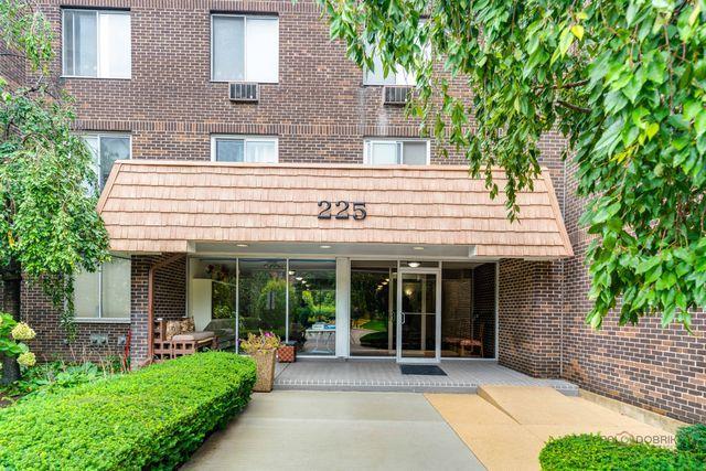 225 S Rohlwing Rd. #502, Palatine, IL 60074