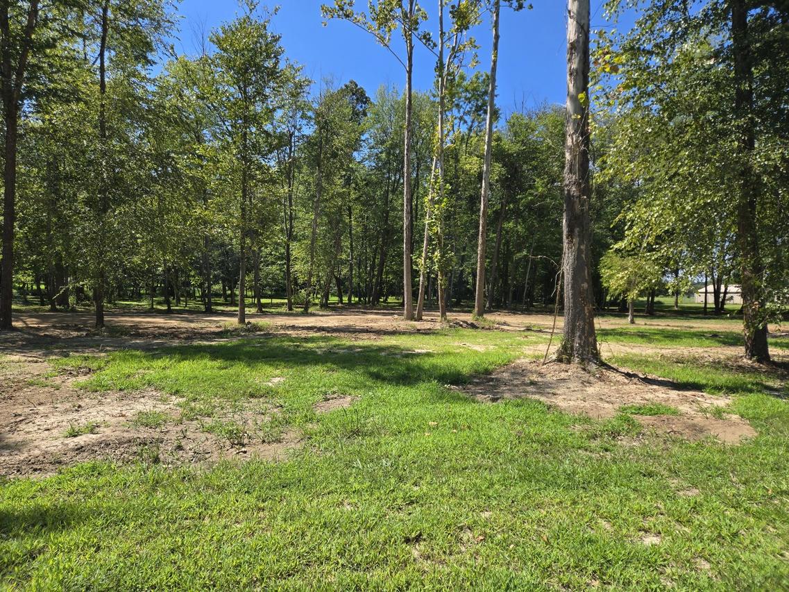 Lot 2 NE Norman Rd., Marion, IL 62959
