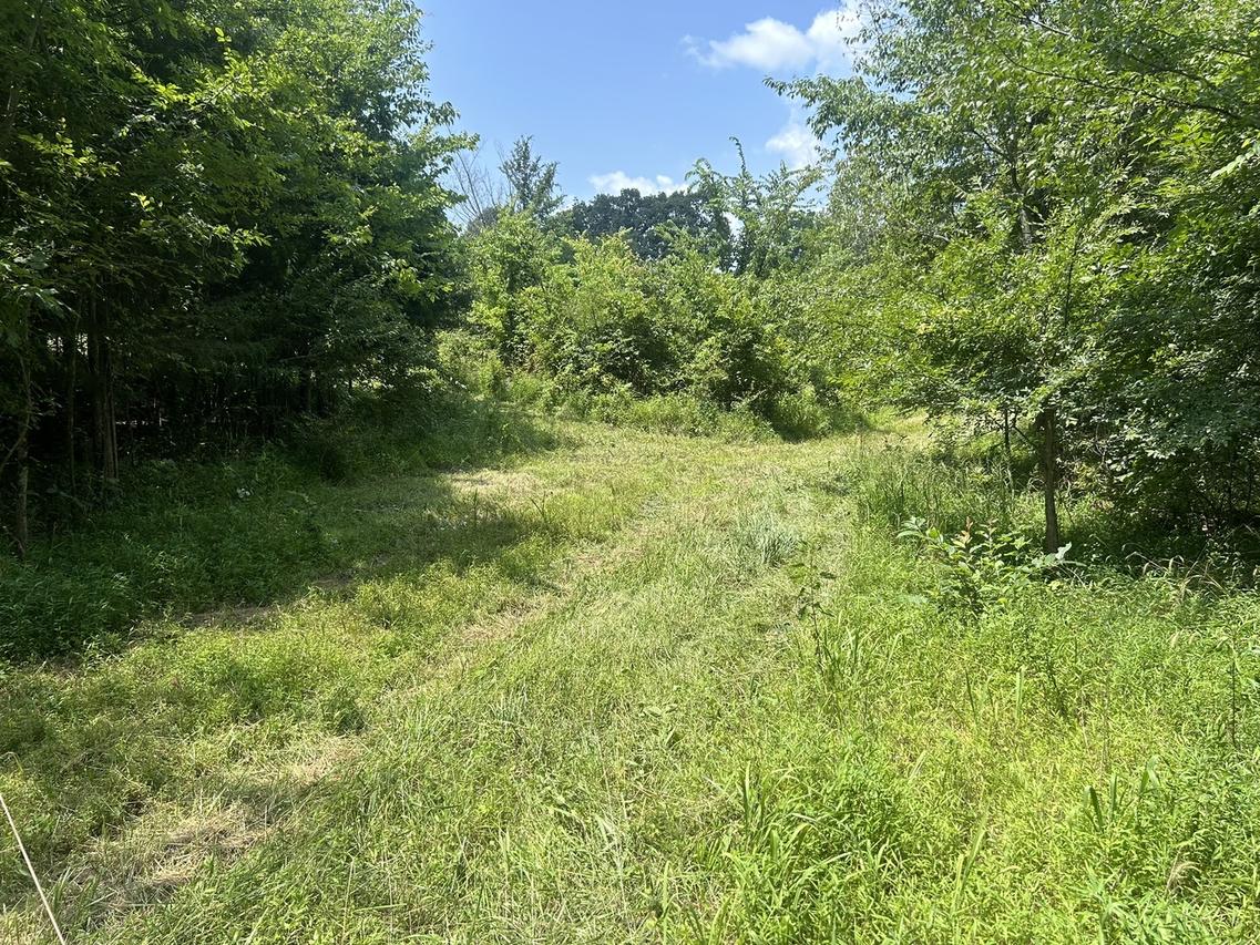 TBD Bushwack Rd., Golconda, IL 62938
