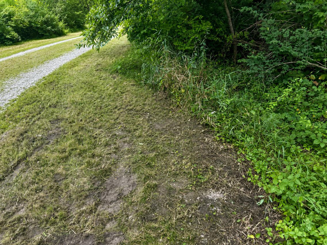 0000 15500 Rd., Pembroke Twp, IL 60958