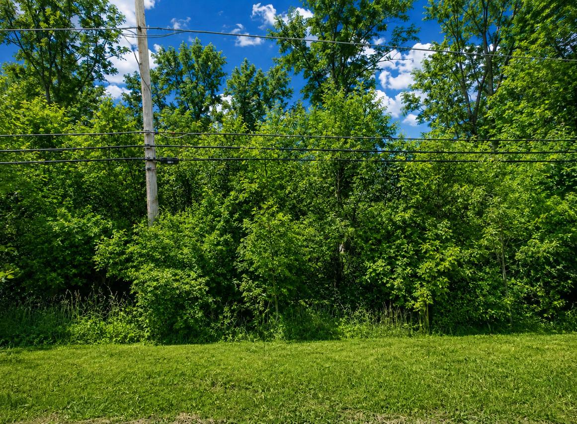42750 N Lake Ave., Antioch, IL 60002