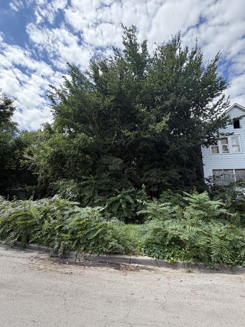 8228 S Manistee Ave., Chicago, IL 60617