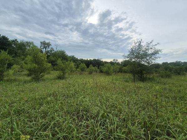 lot 1 S Irish Ln., Custer Park, IL 60481