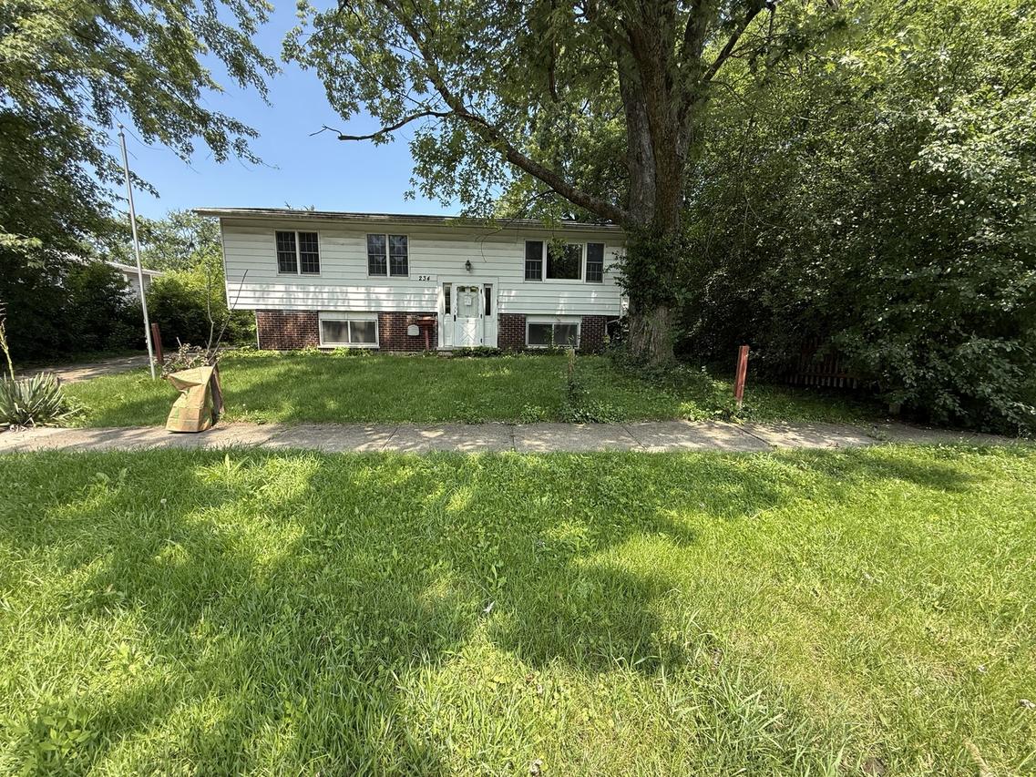 234 Hickory St., Park Forest, IL 60466