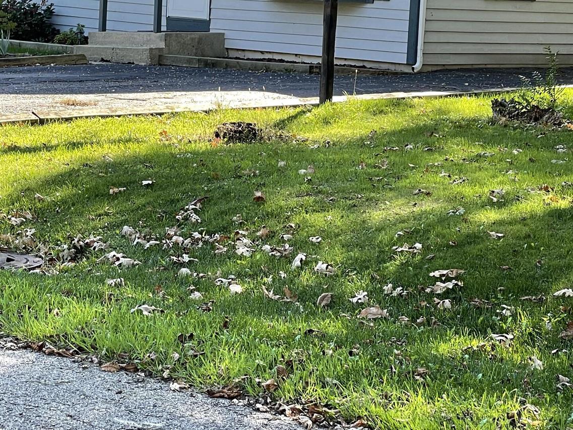 21341 W Sarah Dr., Lake Villa, IL 60046