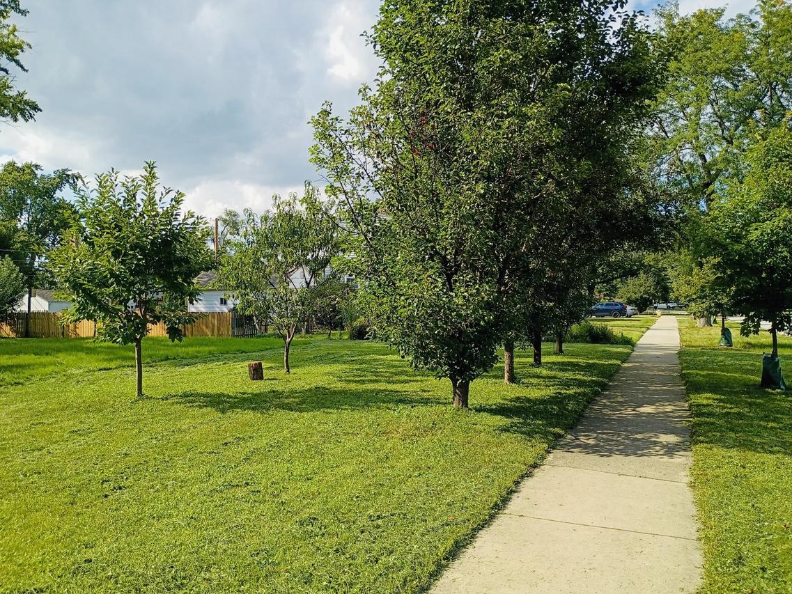 290 Woodbridge Rd., Des Plaines, IL 60016
