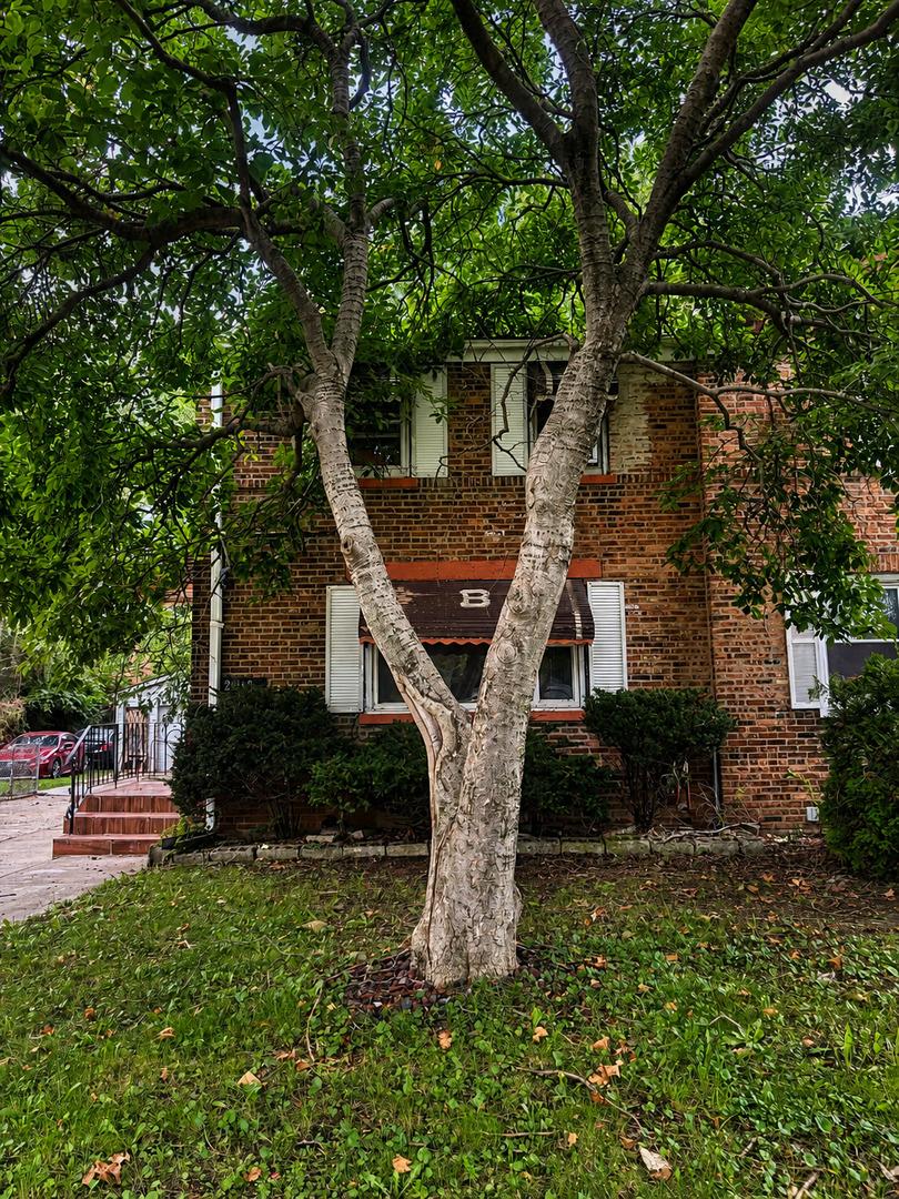 2108 E 95th Pl., Chicago, IL 60617