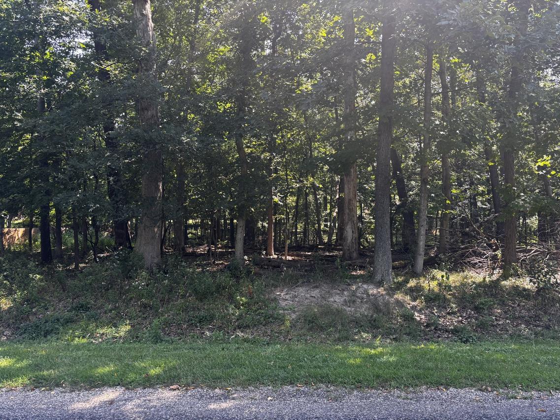 1134 Loganberry Ln., Varna, IL 61375