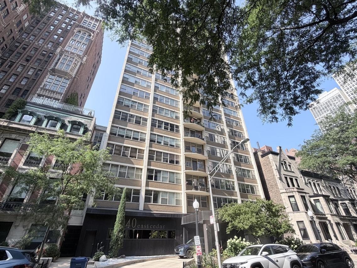 40 E Cedar St. #11C, Chicago, IL 60611