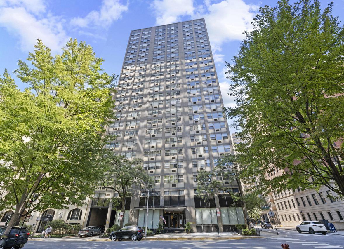 253 E Delaware Pl. #17D, Chicago, IL 60611