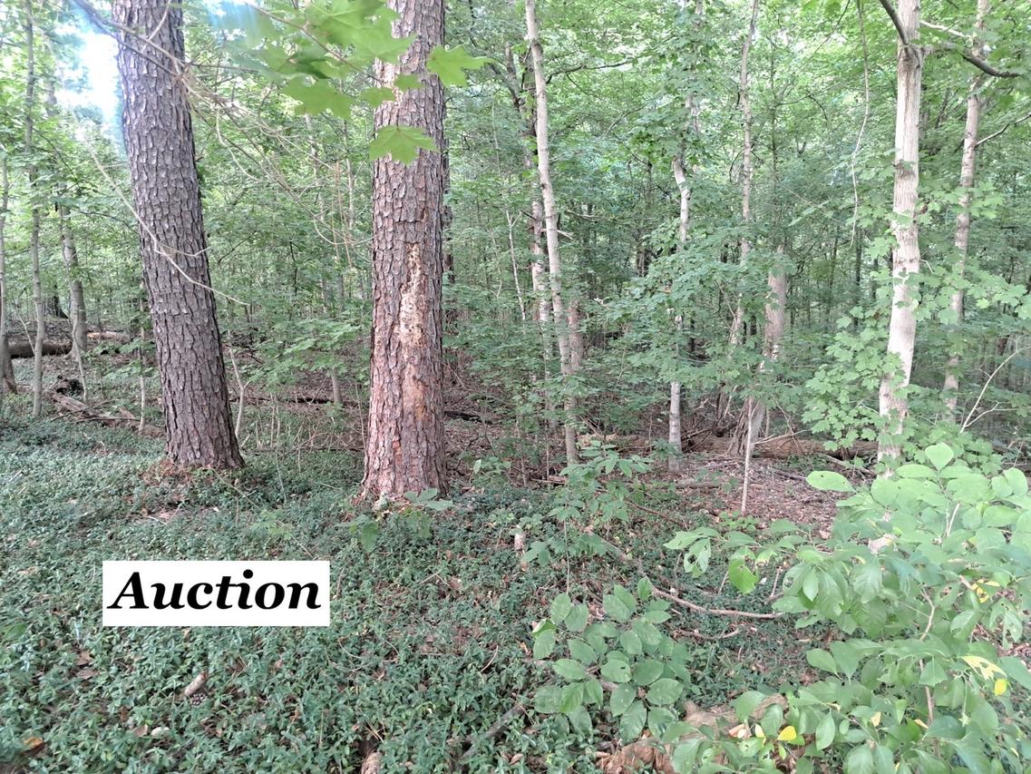 3952 & 4013 Devils Fork Rd., Carbondale, IL 62901