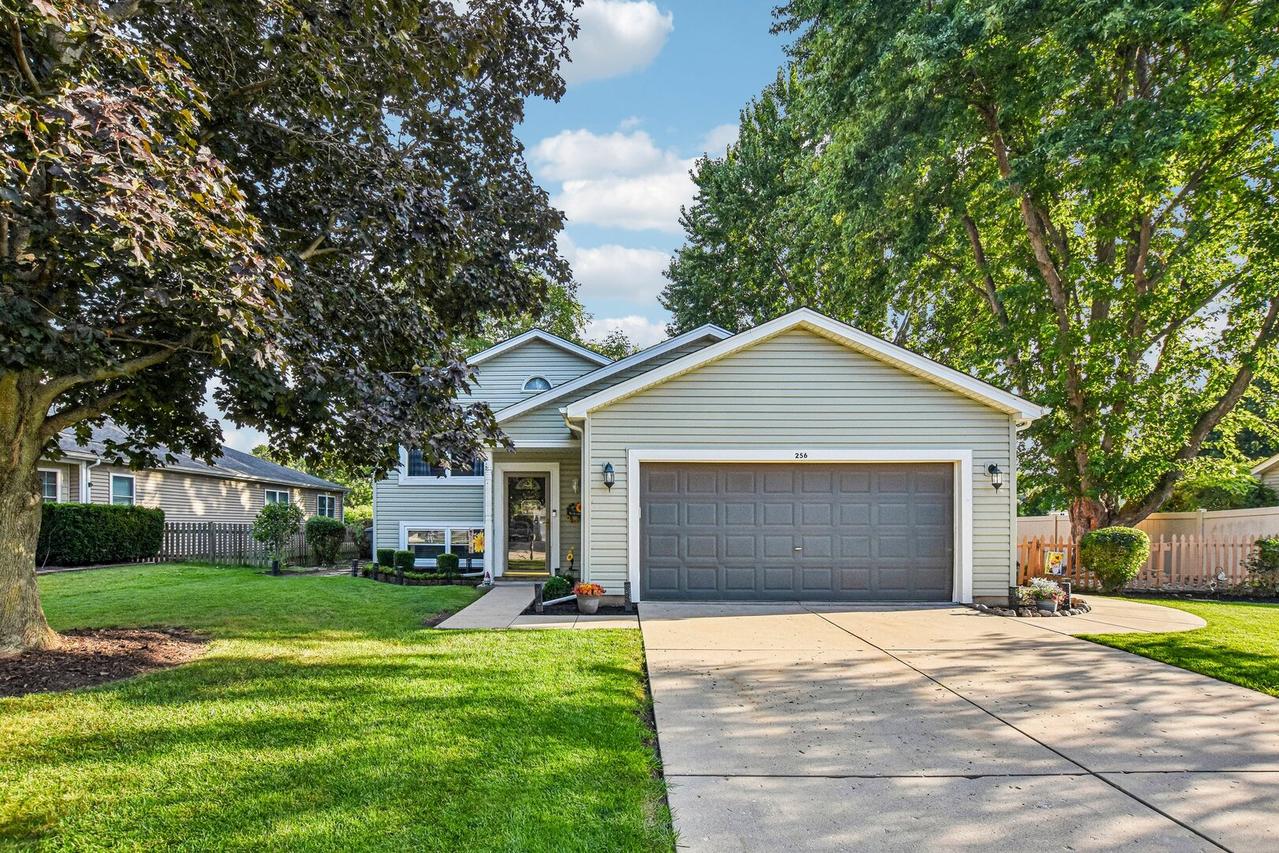256 Meadows Dr., Sugar Grove, IL 60554