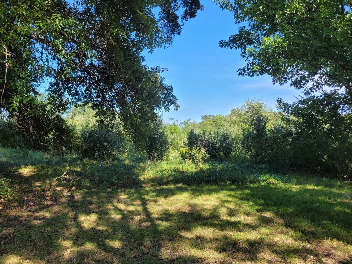 000 E Bunny Farm Rd., Mt Vernon, IL 62864