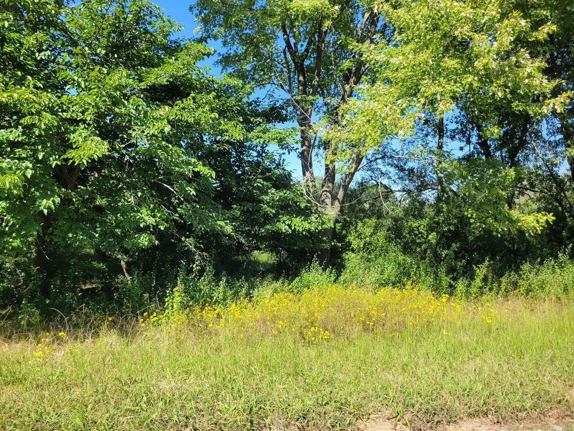 0000 E Bunny Farm Rd., Mt Vernon, IL 62864